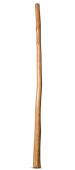 Marcos Ferrazza Didgeridoo (MF130)